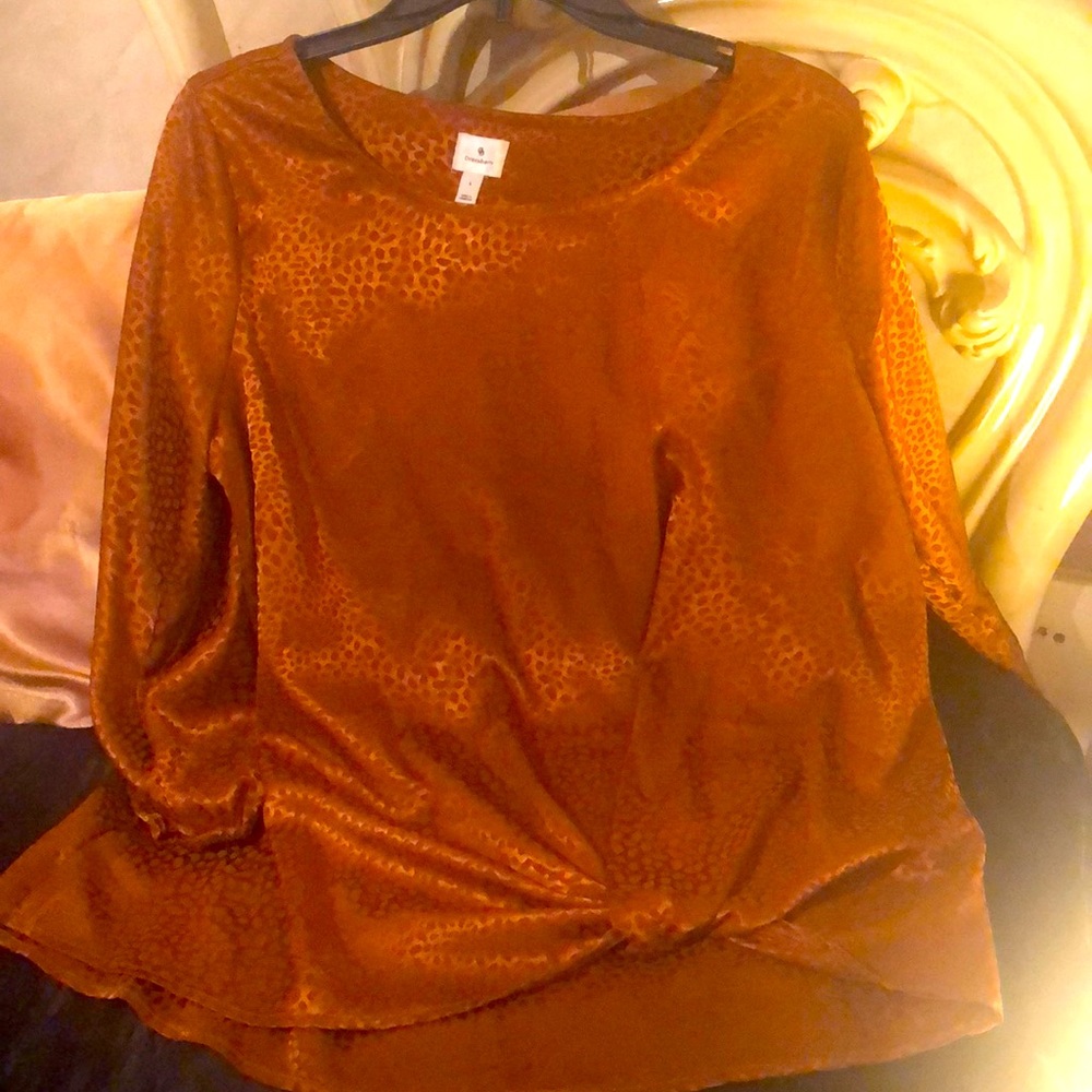 Beautiful blouse